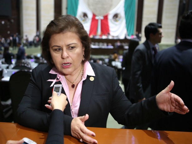 dip-esthela-de-jesus-ponce-beltran-2