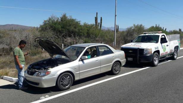 Boletín 64 Angeles Verdes