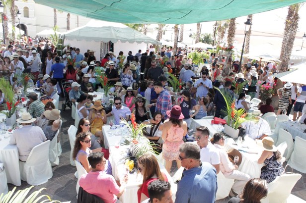 Boletin 65 Gastrovino