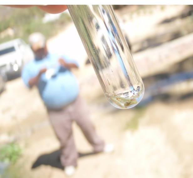 SSA_VIGILANCIA _Paludismo01