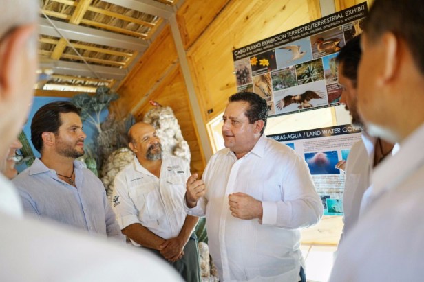 PRINCIPAL_CMD CABO PULMO