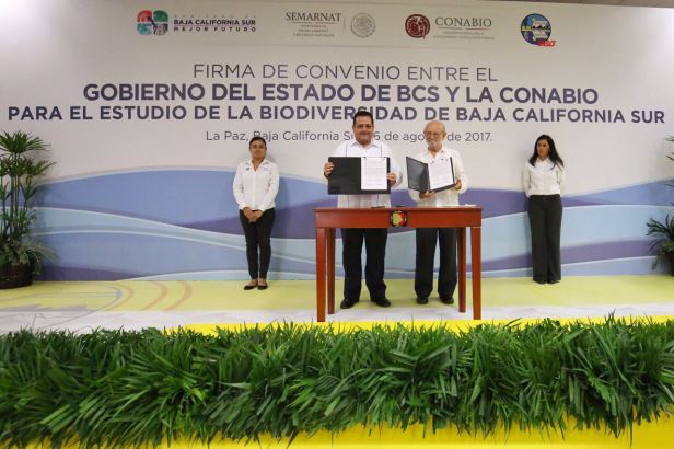 PRINCIPAL_CMD CONABIO.jpg