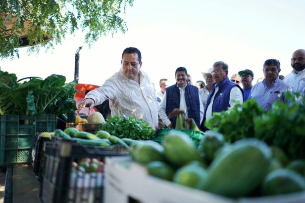 PRINCIPAL_CMD.PRODUCTORES