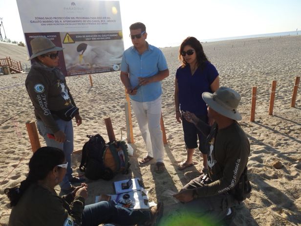 01 LOS CABOS TRABAJA PARA EN ALIANZA