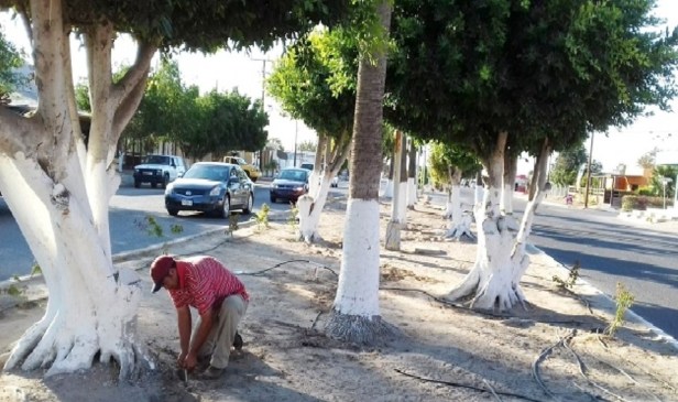 02.- Gobierno Municipal busca mantener una ciudad limpia y con ello una mejor más saludable para todos sus habitantes..jpg
