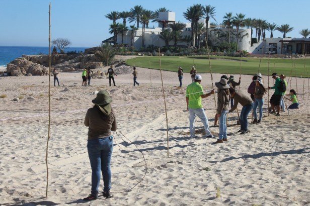 04 TRABAJA ECOLOGIA MUNICIPAL Y HOTEL PARADISUS EN PROTECCIÓN DEL GALLITO MARINO..jpg
