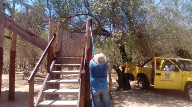 05 SE REHABILITAN TORRES DE AVISTAMIENTO DE AVES EN ESTERO JOSEFINO