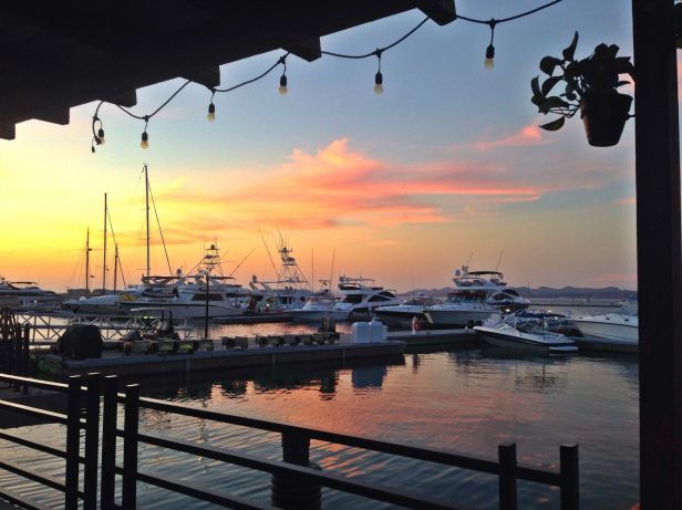 PRINCIPAL_SETUES_BLUE (2).jpg