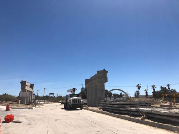 sepuim cola de ballena