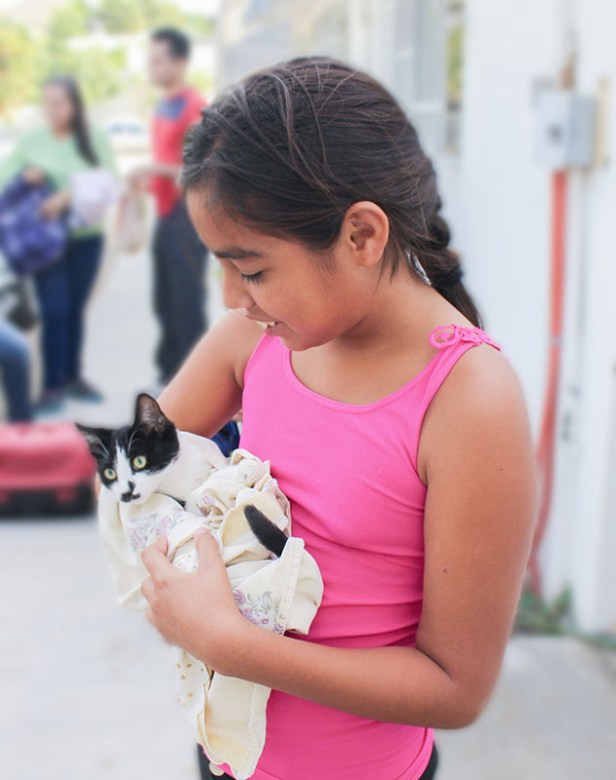 SSA_EsterilizaciónCaninayFelina