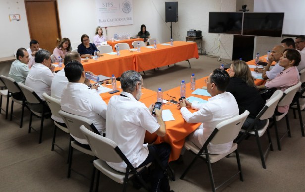 STDS MESAS DE TRABAJO DE LA ENI  (2).JPG