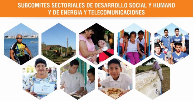 STDS_Subomites Sectoriales.jpg