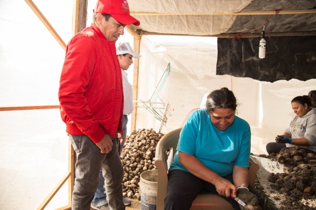 WhatsApp Image 2018-05-28 at 10.13.14 AM.jpeg