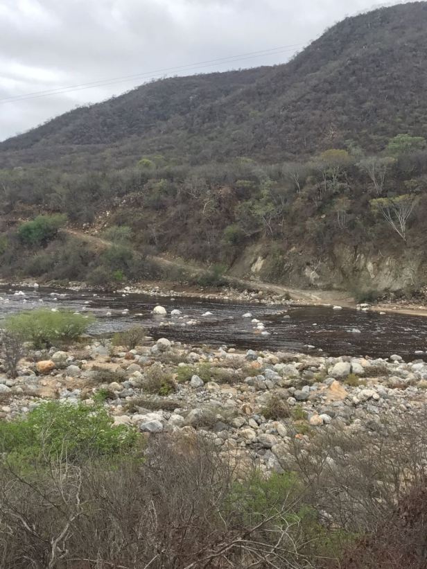 02 ACLARA ECOLOGÍA MUNICIPAL, TEMA DE AGUA PLUVIALES.jpeg