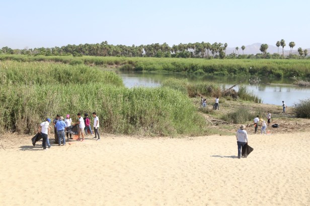 03 SE TRABAJARÁ PERSONAL DEL ESTERO JOSEFINO CON ESTUDIANTES COBACH 02 EN ACCIONES DE LIMPIEZA.jpeg