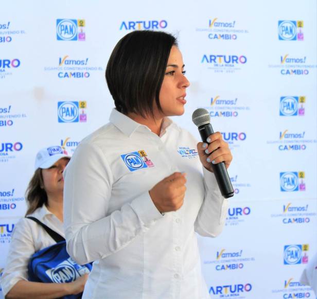 SERÉ UNA DIPUTADA QUE REGRESE A LAS COLONIAS