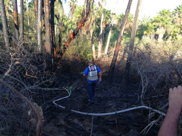 SOFOCA EN POCAS HORAS PROTECCIÓN CIVIL INCENDIO DEL ESTERO JOSEFINO