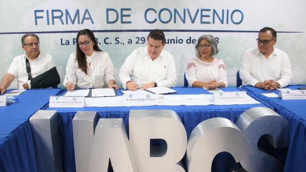 36573936_2223279804355460_5906085575420542976_o