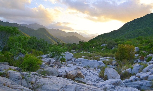 Foto Balconeando del 31 de agosto.jpg