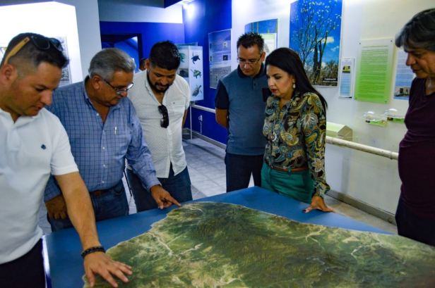 WhatsApp Image 2018-08-23 at 6.11.13 PM.jpeg