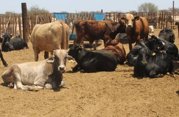 PRINCIPAL SEPADA (2).jpeg