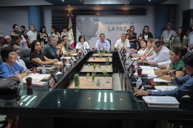 SEGUNDA SESIÓN ORDINARIA DE CABILDO  (4).JPG