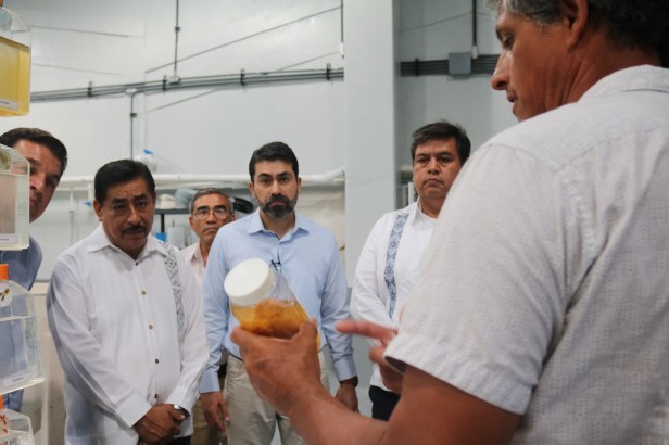 SEP_POSTGRADO CICIMAR.JPG