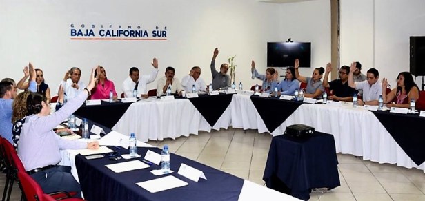 STDS REUNIÓN SUBCOMITÉ.jpg