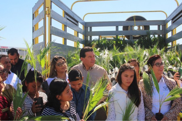 DONACIÓN DE PALMAS (1).jpeg