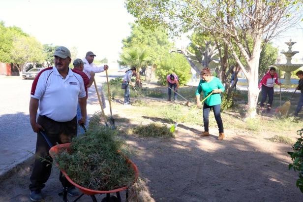 Joranda de limpieza1.jpg