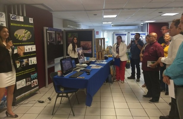 SETUES JORNADA CIBNOR (2).JPG