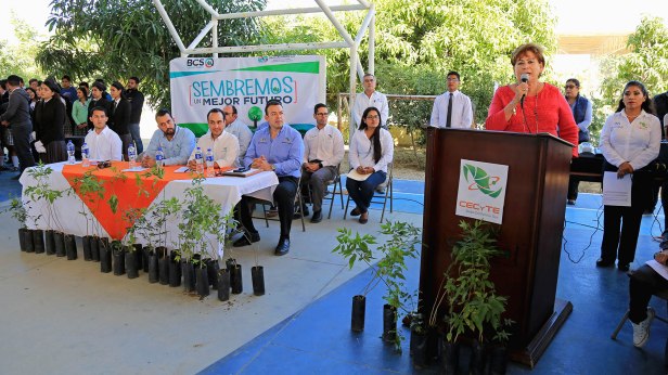 02 CELEBRA GOBIERNO DE LOS CABOS ENTREGA DE 2 MIL ÁRBOLES A PLANTELES CECYTE..jpg