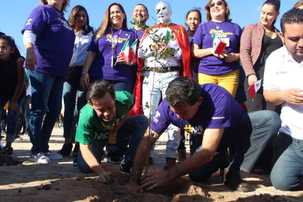 REFORESTATÓN  (1).jpeg