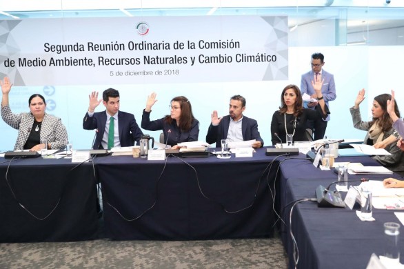 REUNION COMISION (3) (2).JPG