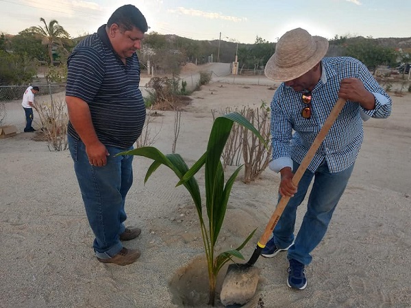 04 Reforestación en la zona norte de Los Cabos con plantas florales y frutales..jpg