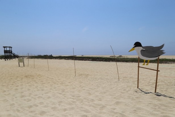 03 Gobierno Municipal refuerza brigada permanente del Estero Josefino...jpeg