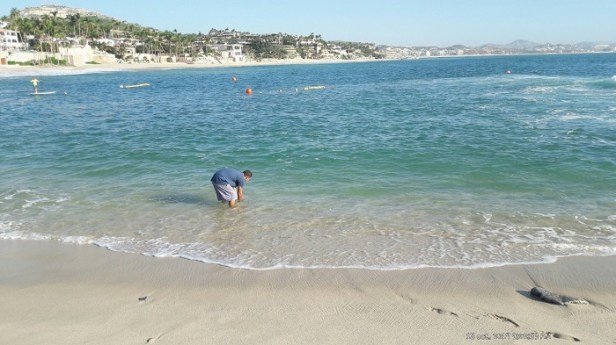 04 Los Cabos el destino con playas más limpias_ Zofemat 1.jpeg