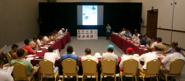 04 Previo a temporada de tortugas, Gobierno Municipal.jpeg