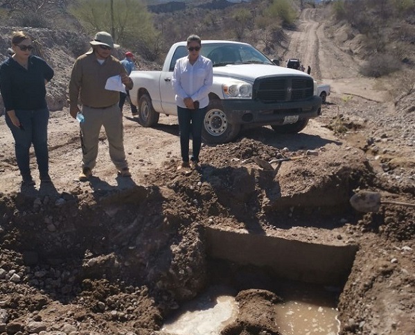 64695610_10211061649617282_2930942045646225408_n