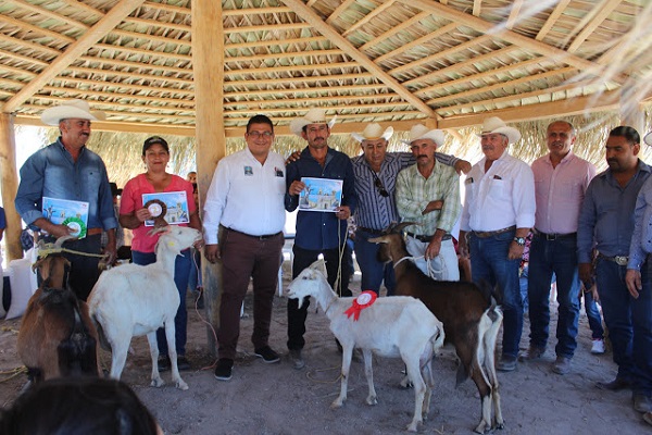 Posicionar la Caprinocultura en Comondú como una excelente alternativa de crecimiento económico