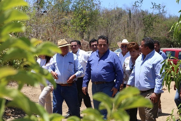 PRINCIPAL CMD_PRODUCTORES