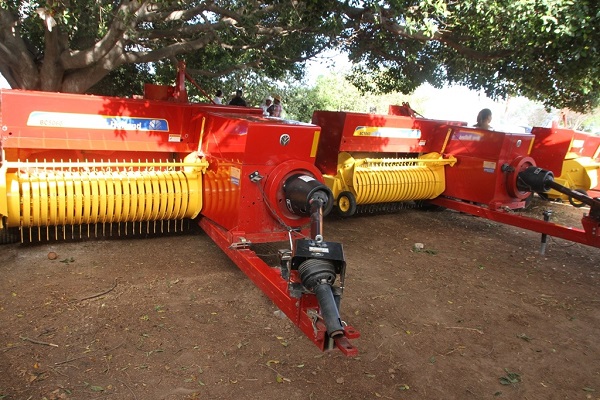 PRINCIPAL_SEPADA (1)