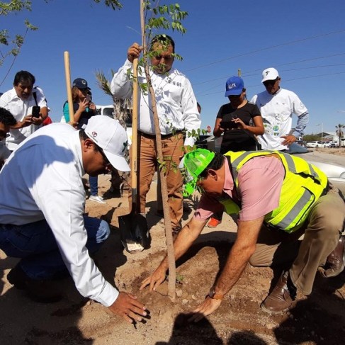 REFORESTACIÓN VALLE DEL MEZQUITE (1)