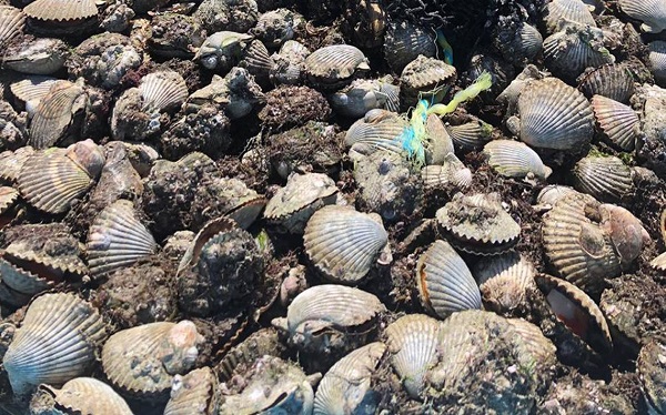 Walter Valenzuela se reúne con inversionistas japoneses