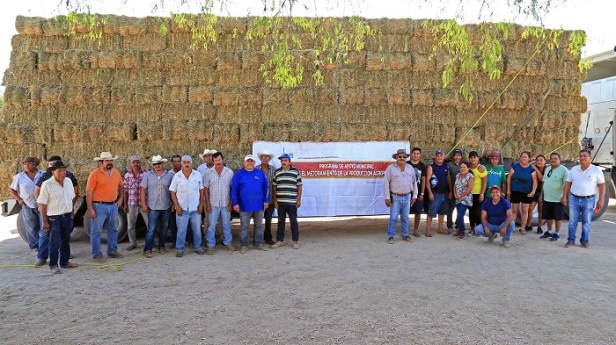 02Gobierno de Los Cabos contrarresta sequía llevando beneficios al sector agropecuario1