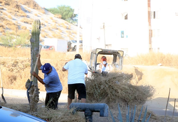 03 Gobierno Municipal impulsa Campaña de Limpieza en Cabo San Lucas