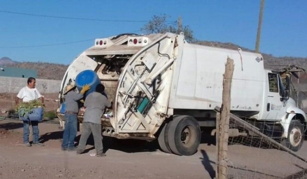 66622111_10211193284308067_644855684130668544_n