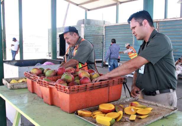 PRINCIPAL SEPADA_MUESTREO (1)