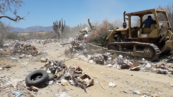 RELLENO EL CARDONAL  (1).jpeg