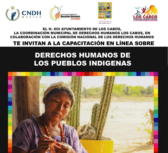 04 Derechos Humanos de Los Cabos impartirá Cursos gratuitos en Línea    .jpeg